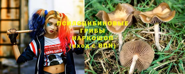 PSILOCYBIN Абдулино