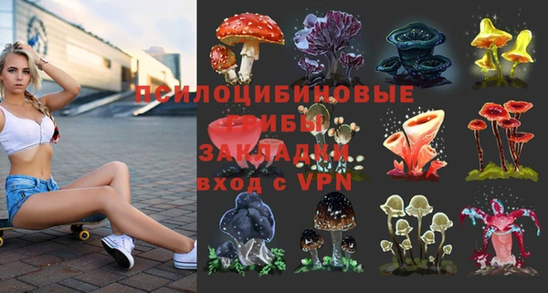 дмт Абаза