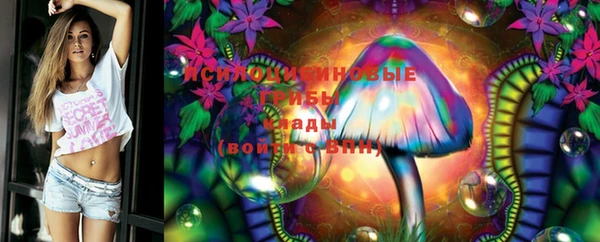 PSILOCYBIN Абдулино