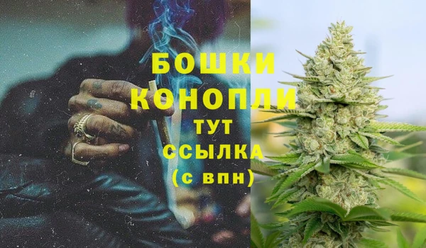 PSILOCYBIN Абдулино