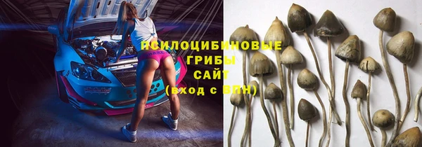 прущие грибы Алексин