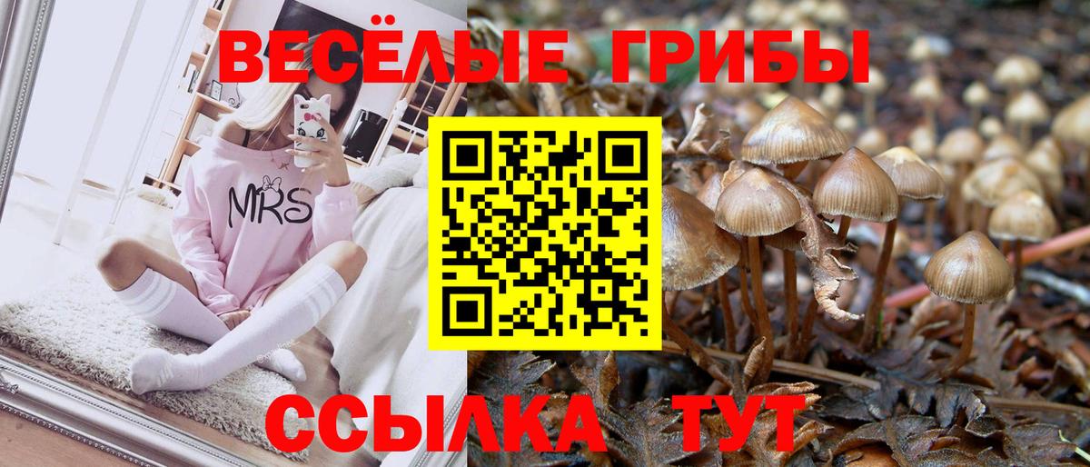 Тольятти  Галлюциногенные грибы Psilocybine cubensis  Псилоцибиновые грибы Magic Shrooms  Вход с VPN 